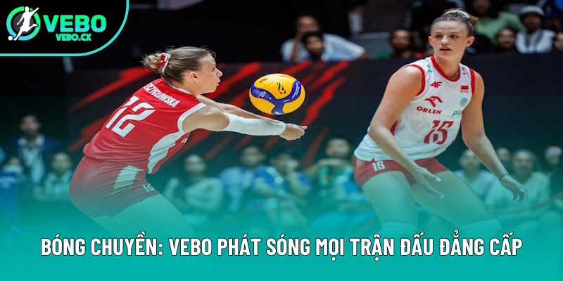 Bóng Chuyền VEBO: Địa Chỉ Tường Thuật Cuộc Thi Bạn Không Nên Bỏ Qua